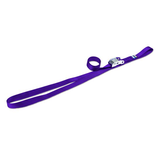 116905 1 x 4 Continuous Loop Cam Utility Strap - Purple