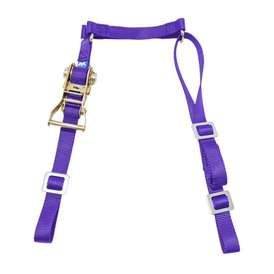 116940 1 Fuel Jug Strap wAdjustable Loops - Purple