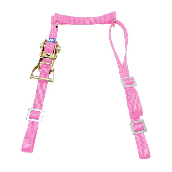119940 1 Fuel Jug Strap wAdjustable Loops - Pink