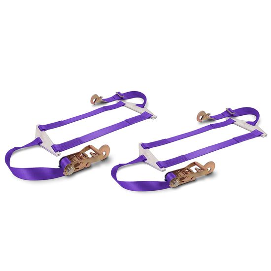 126834 Dragster Rear Spreader Bar Net Pack - Purple