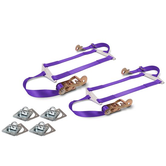 126850 Dragster Rear Spreader Bar Net Pack with Anchor Points - Purple