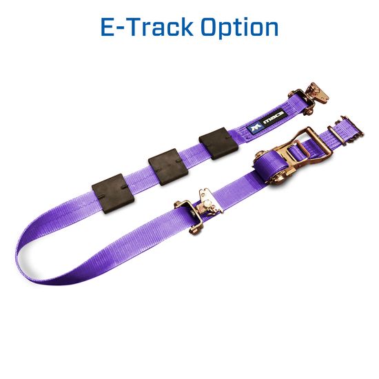 126912 2 x 10 Tire Block Strap with E-Track Ends - Purple