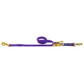 126010 2 x 10 Ratchet Strap with Twisted Snap Hooks Sewn Fixed End - Purple